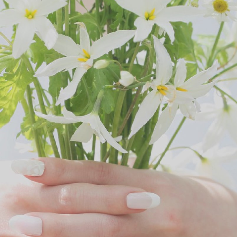 キービジュアル